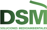 Soluciones DSM Logo